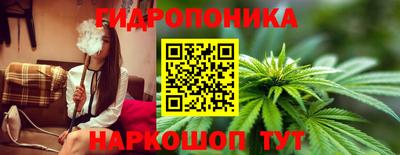 стаф Кунгур