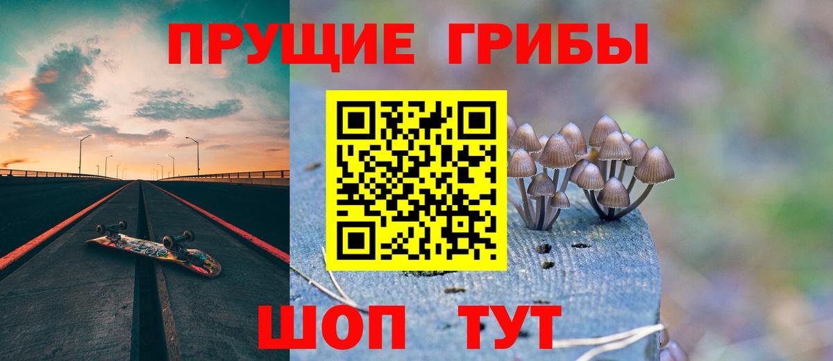 Бузулук  Псилоцибиновые грибы ЛСД  Вход с VPN 